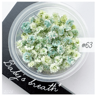 baby’s breath* ＃63