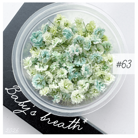 baby’s breath* ＃63