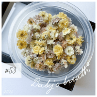 baby’s breath* ＃53