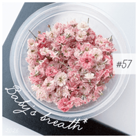 baby’s breath* ＃57