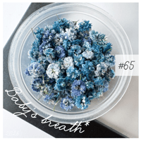 baby’s breath* ＃65