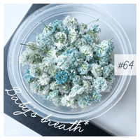 baby’s breath* ＃64