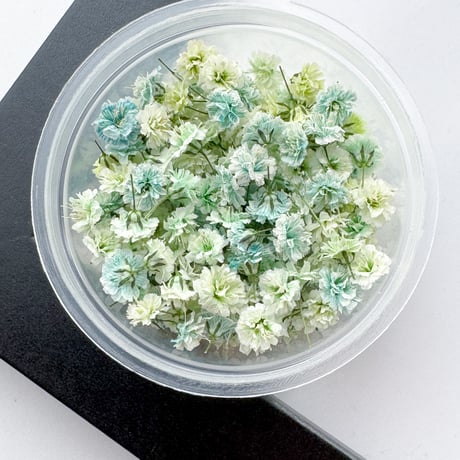 baby’s breath* ＃63