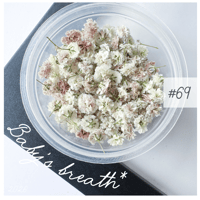 baby’s breath* ＃69