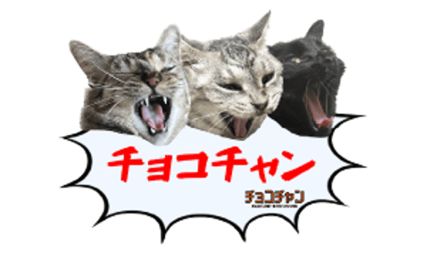 オンラインショップ チョコチャン