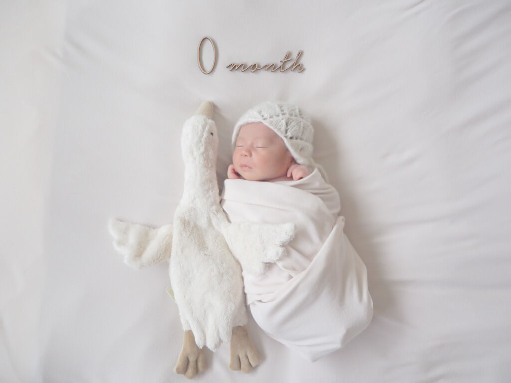 ナポレオングース ガチョウ ぬいぐるみ アーティストベア 海外作家様