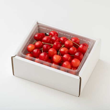 さくらんぼ　特秀　５００ｇ