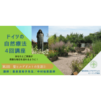 ドイツの自然療法「第2回」聖ヒルデガルトの生涯②とクリスマスの精油～
