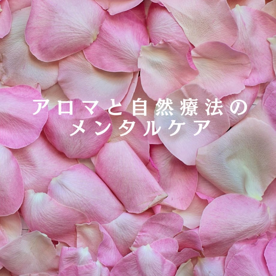 64f2fd4ee7d72200325f6e66