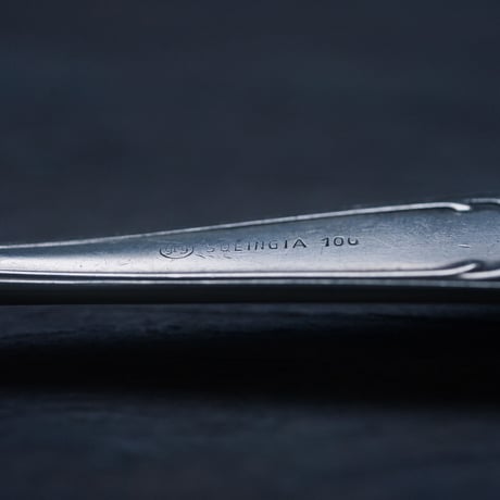レリーフのあるデザートスプーン