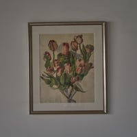 ドイツ人画家のチューリップが描かれた水彩画