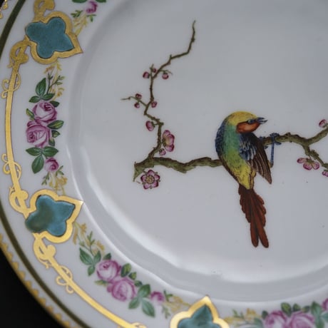 イギリスの鳥の絵が描かれたお皿  ①