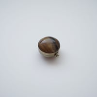 貝でできた入れ物