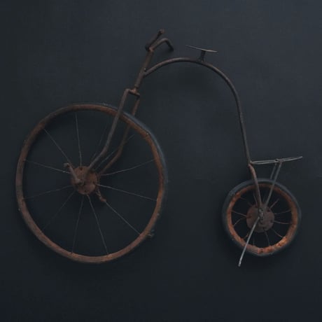 屋根の上にいた自転車