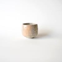 本阿弥光隆・鼠志野ゆのみ /25