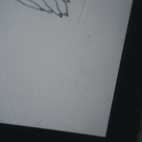 ピカソのリトグラフ