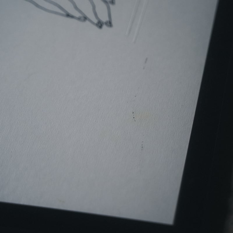 ピカソのリトグラフ | kiva（キバ）