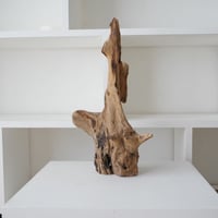 アフリカ・スタンディング流木 ③