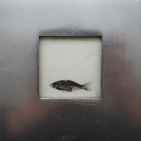 ドイツ・金属の額縁に入った魚の絵