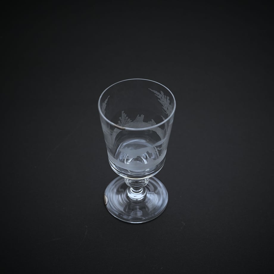 63ed98c134e01715af5244b0