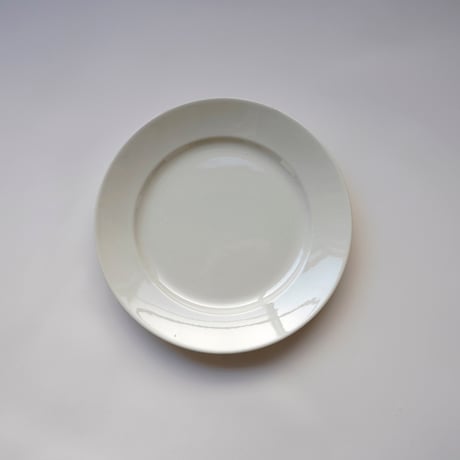 フランス・白いサルグミンヌのお皿①