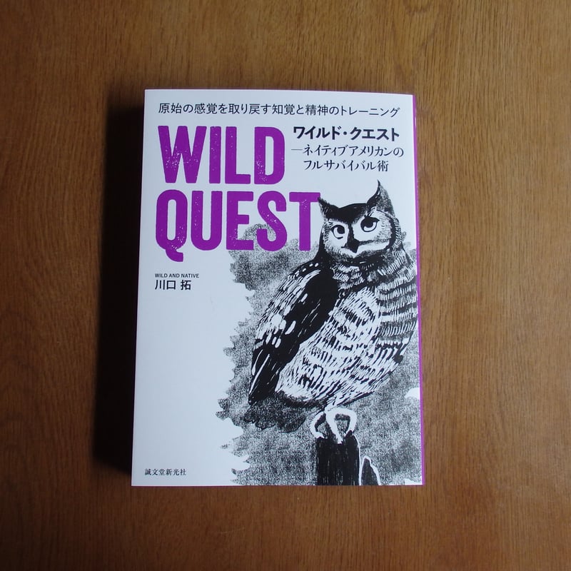 The Native Americans ザ・ネイティブ・アメリカンズ 洋書 91XhwiuiRcL._UF350,350_QL50_.jpg