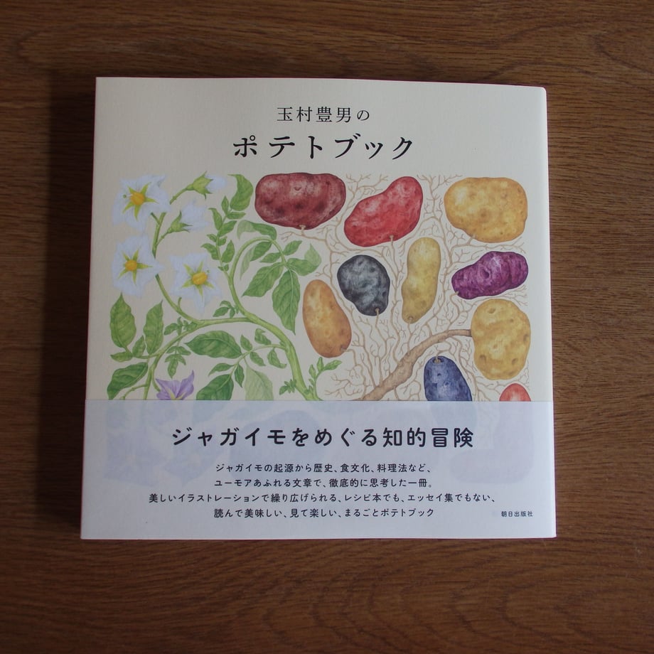 6520bdb106b01a21fa642d9d