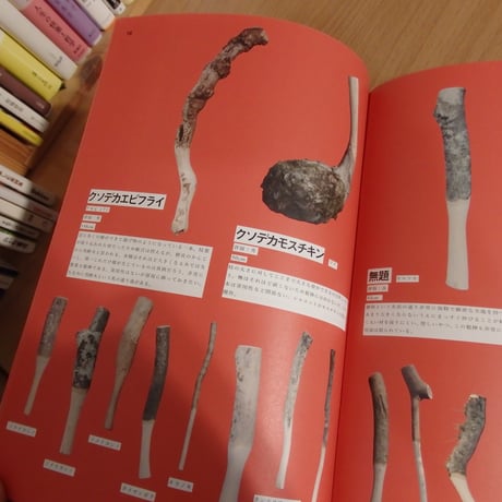 棍棒入門