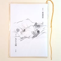 素描画誌 第三号  ねむる猫
