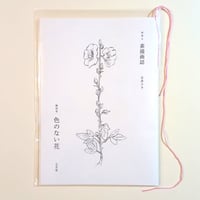 素描画誌 創刊号  色のない花