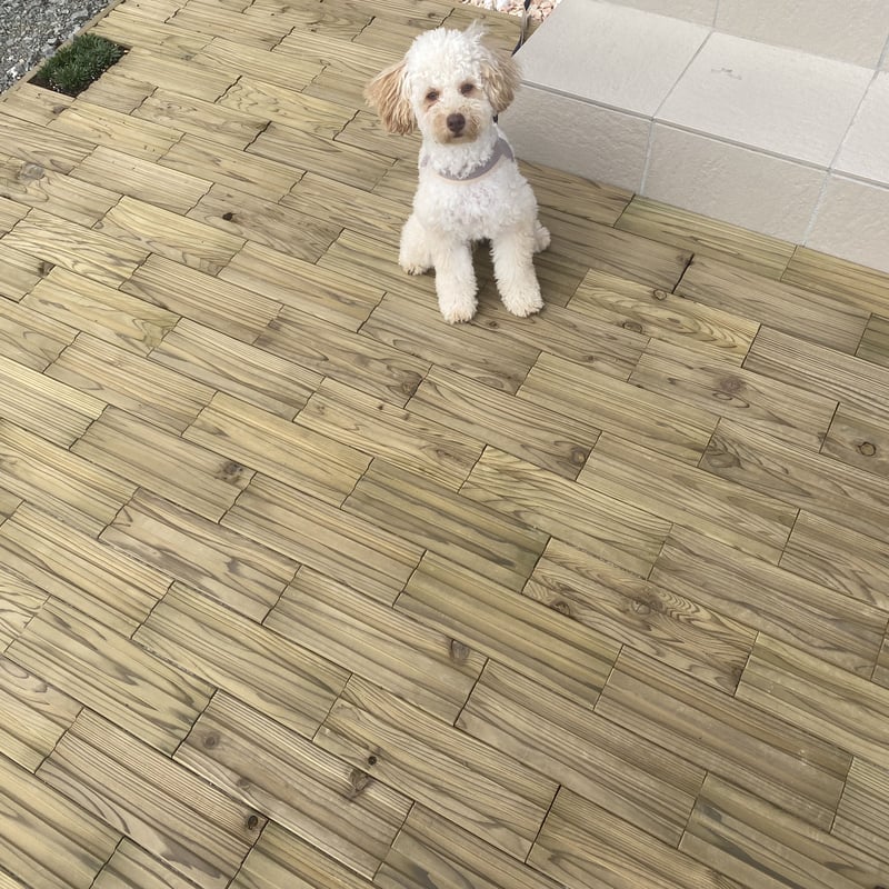 最終額新品yukiemon タイル4枚セット①