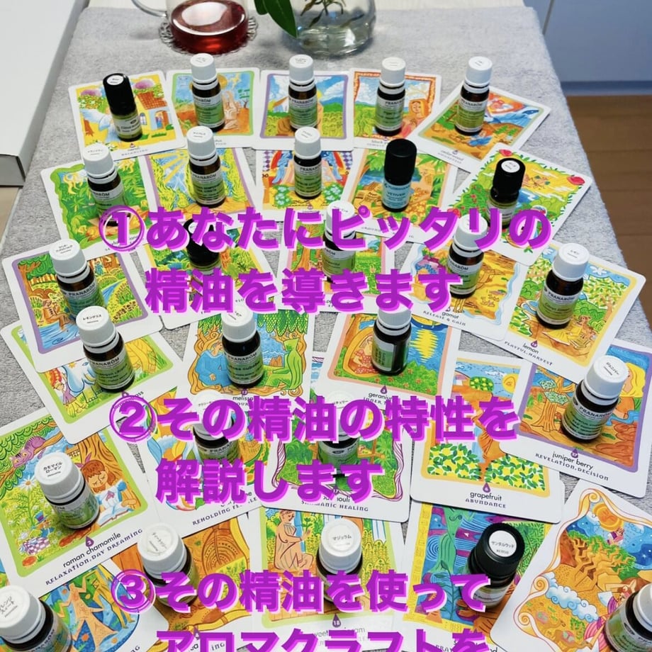 6308d4dbb488727192037713