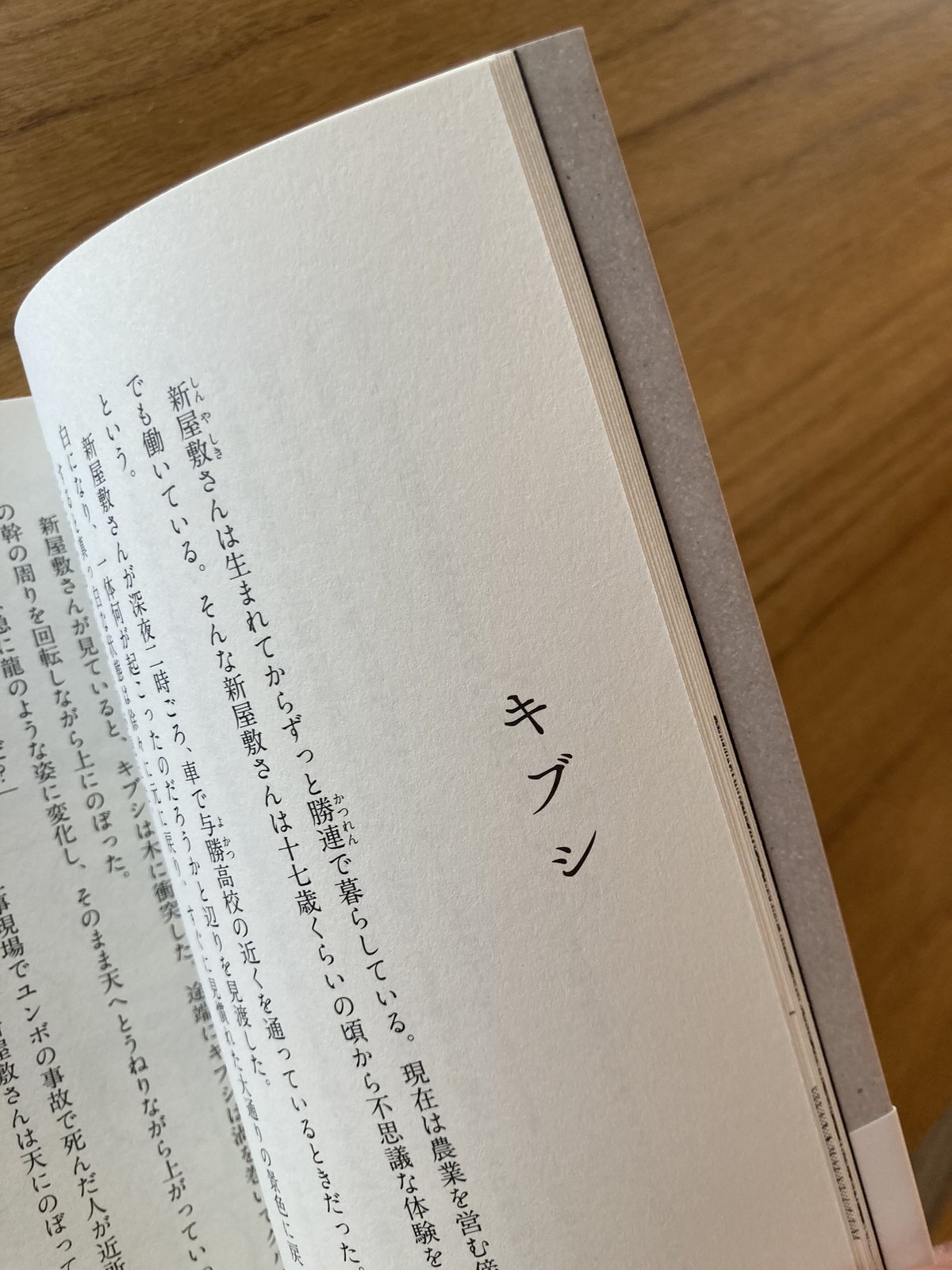 小原猛、太田基之｜琉球怪談デラックス | 本と商い ある日、