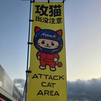 攻猫出没注意　のぼり旗　　黄