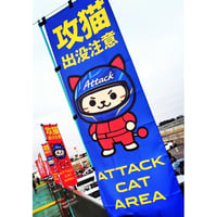 攻猫出没注意のぼり旗　　青