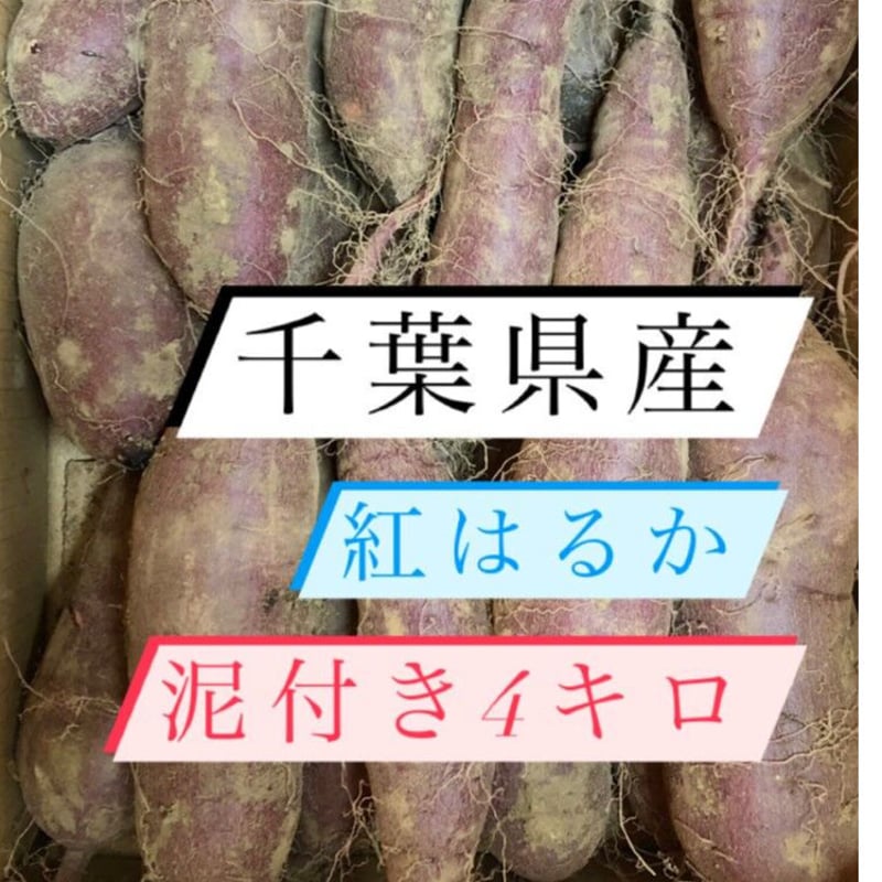 紅はるか4キロ 泥付き 千葉県産 | ごく旨 植松商店