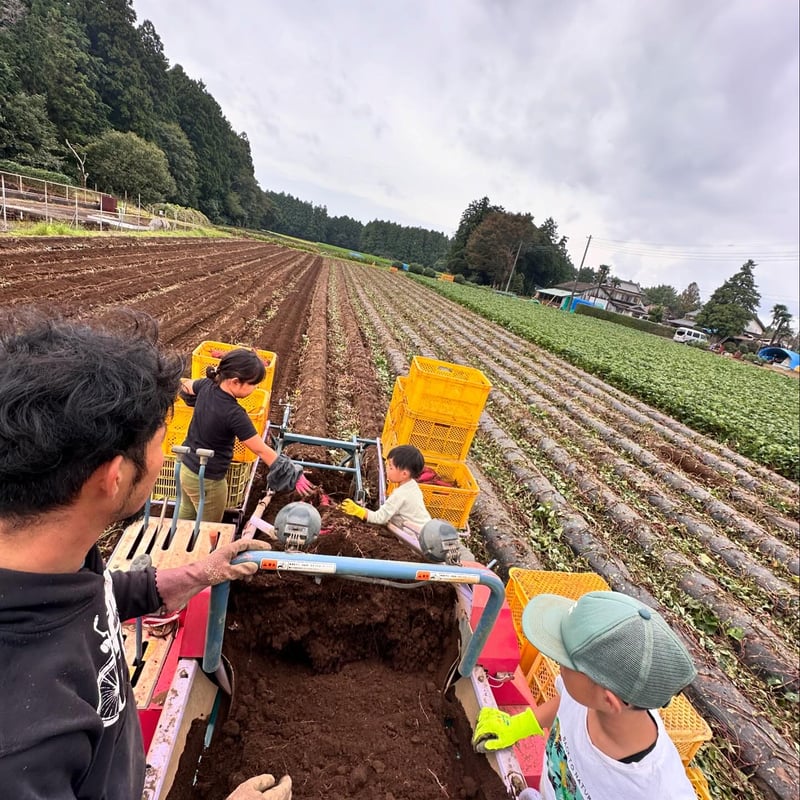 紅はるか4キロ 泥付き 千葉県産 | ごく旨 植松商店