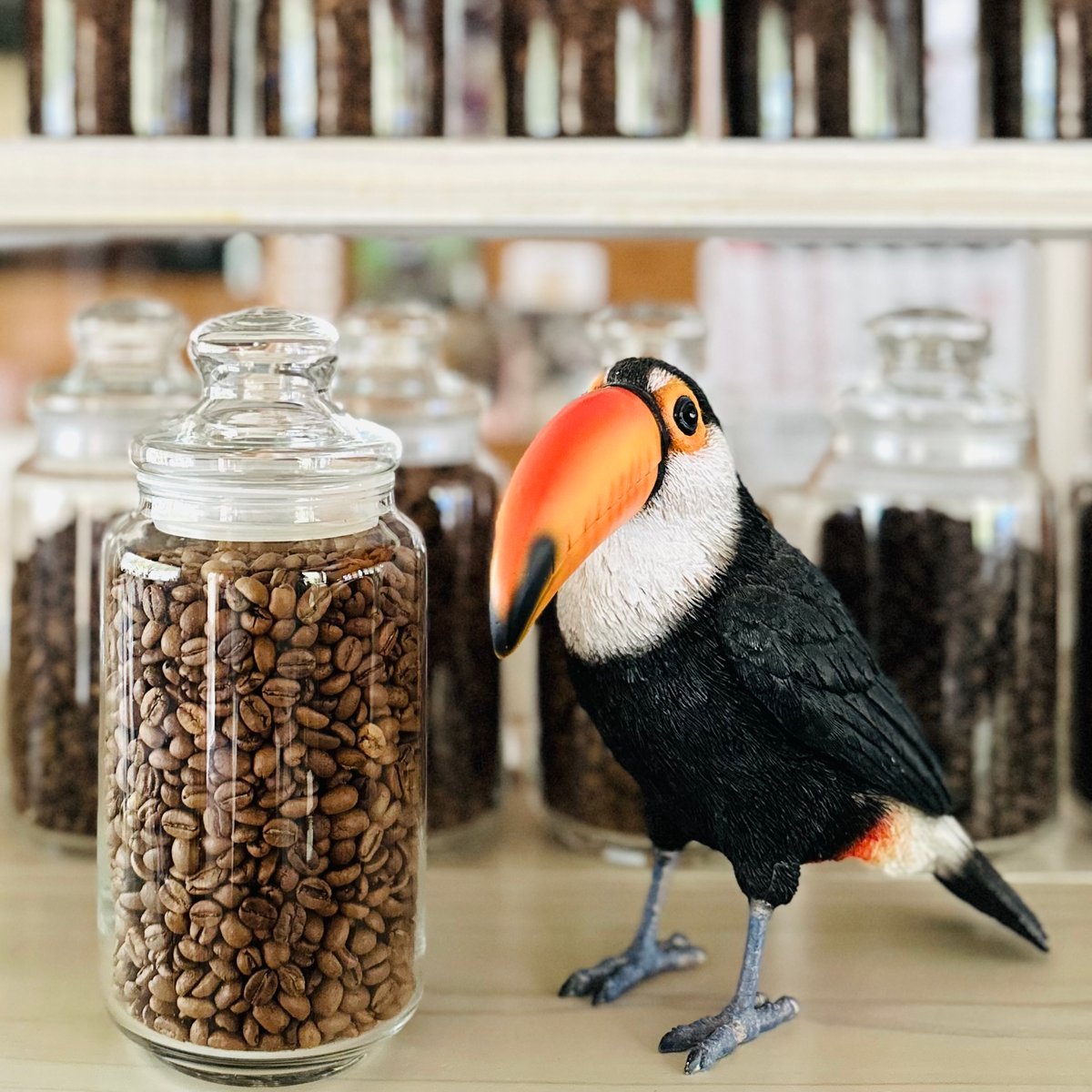 浅煎り エチオピア モカ ゲイシャ 100g | ICHIGOYA_COFFEE_ROASTERY