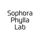 Sophora Phylla Lab