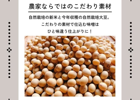 【中辛】味噌づくりセット（塩切麹＋自然栽培大豆）