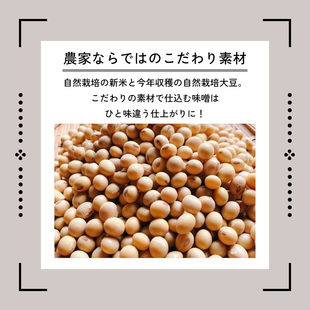 中辛】味噌づくりセット（塩切麹＋自然栽培大豆） | 自然栽培 米と野菜
