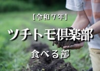 【今年度分は受付終了いたしました】【令和７年・ツチトモ倶楽部】食べる部　（　年間メンバー　）