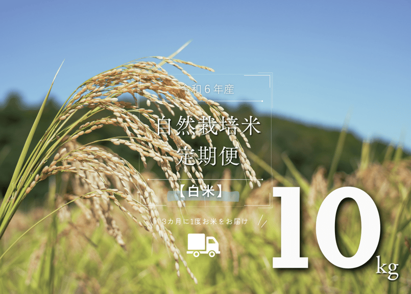 自然栽培米 R6年収穫 鹿児島県産直 13℃一定保存 10kg 令和6年産】自然栽培米の定期便（白米）10kg | 自然栽培 米と