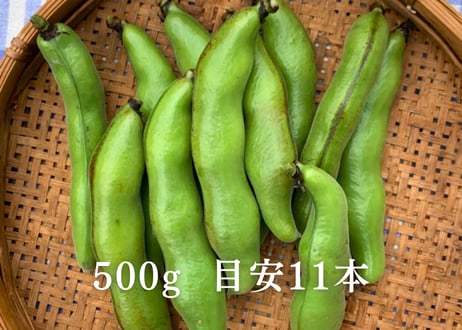 初夏限定｜自然栽培 そら豆・スナップエンドウ・生にんにく