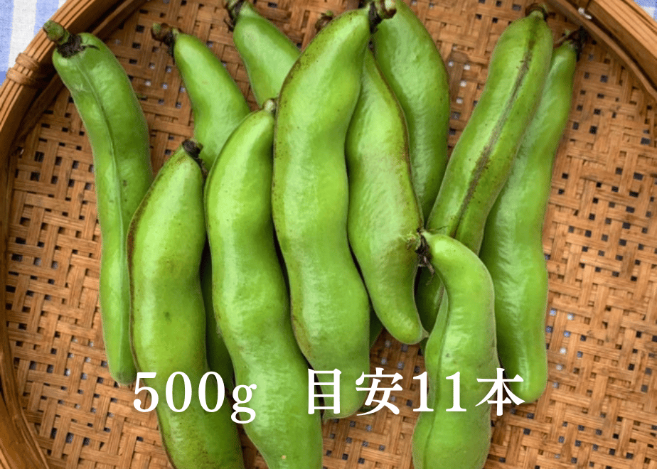 6a1138d13626e40523879399