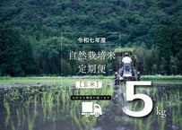 【令和７年産】自然栽培米の定期便（玄米）5kg