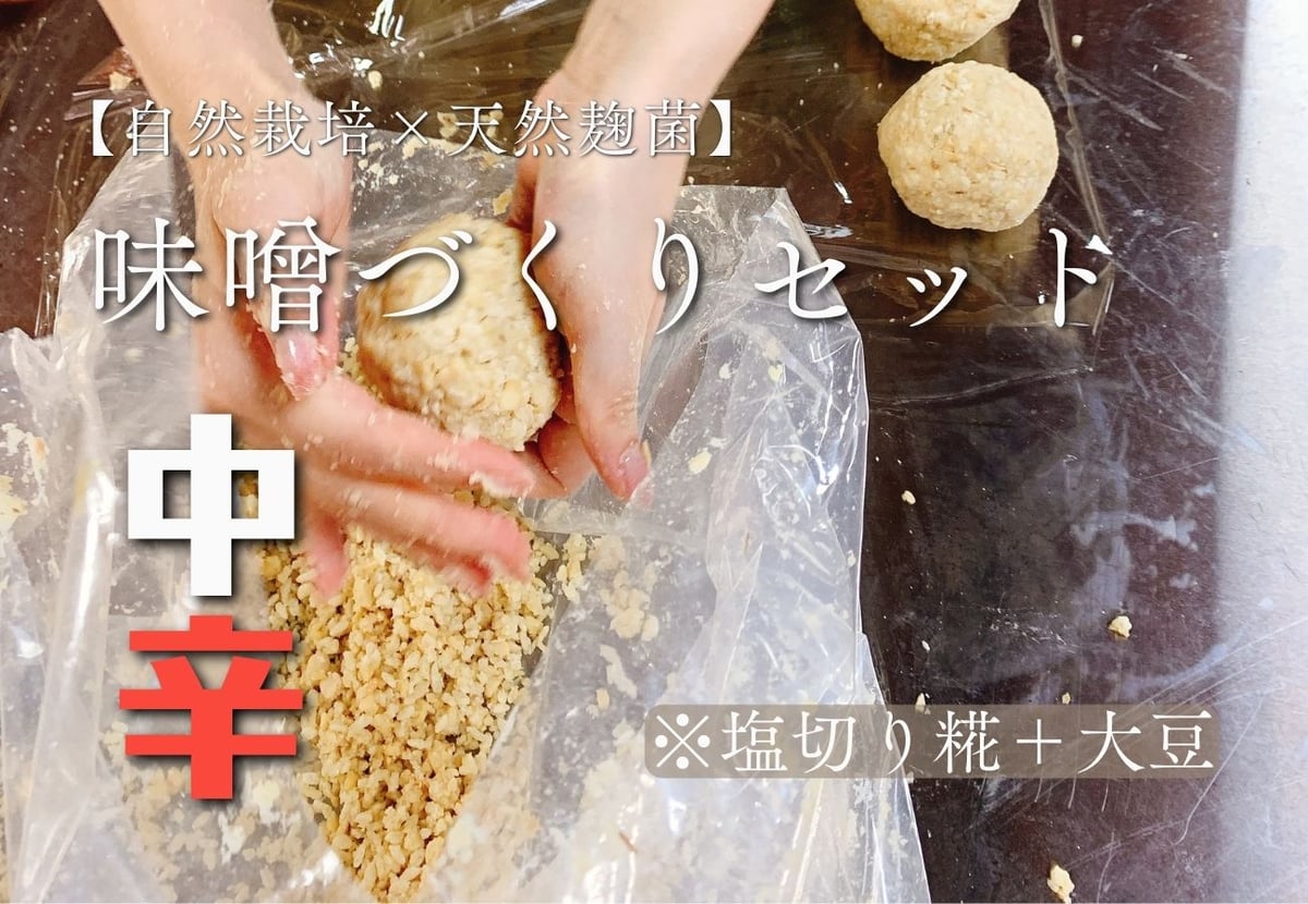 中辛】味噌づくりセット（塩切麹＋自然栽培大豆） | 自然栽培 米と野菜