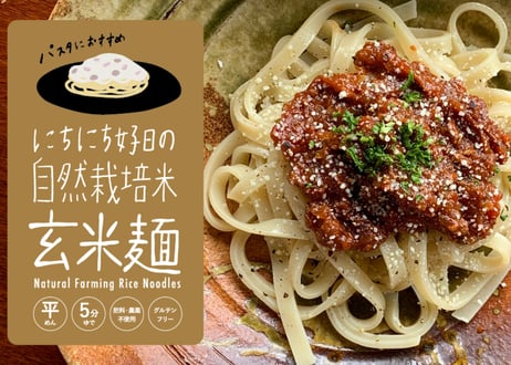 【リピート購入におすすめ】自然栽培の米麺（おまとめ購入）