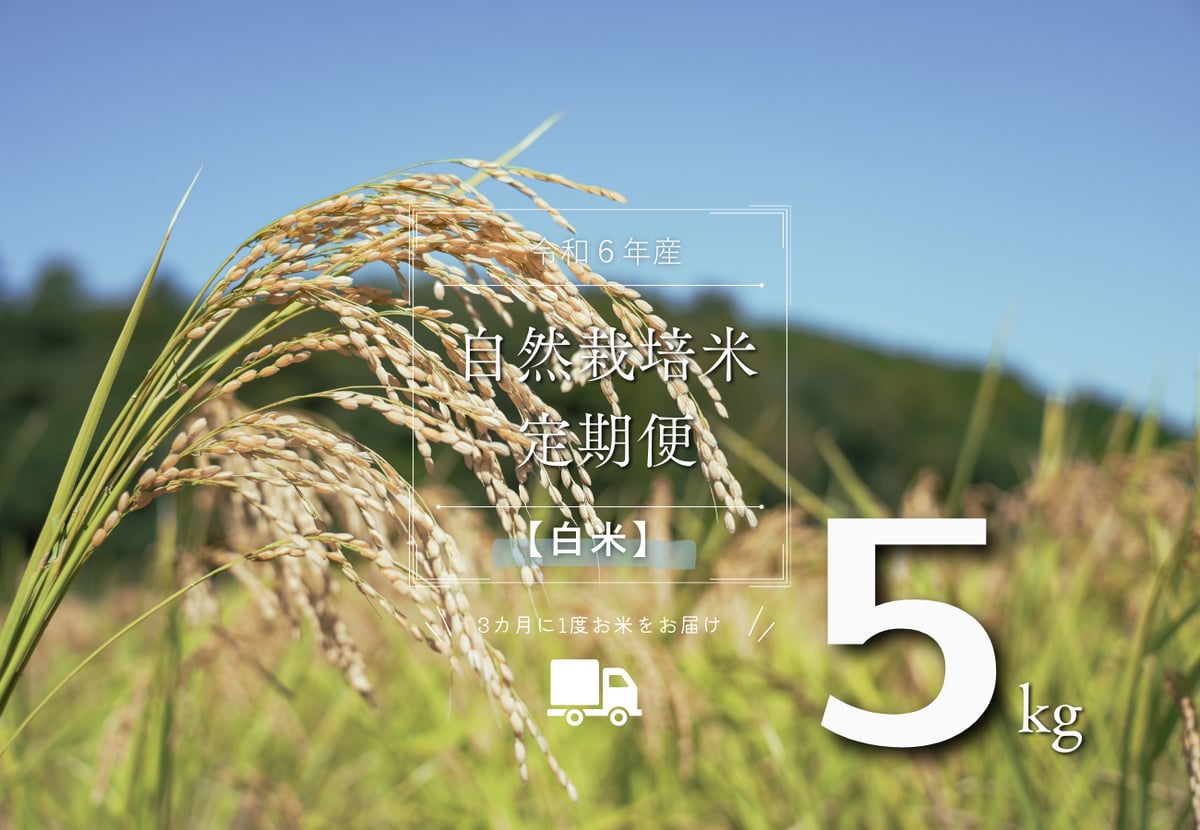 自然栽培 くず米 令和6年産 令和6年 千葉県 くず米 28kg 自然