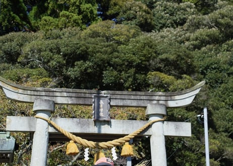 【令和７年産】自然栽培米の定期便（玄米）10kg